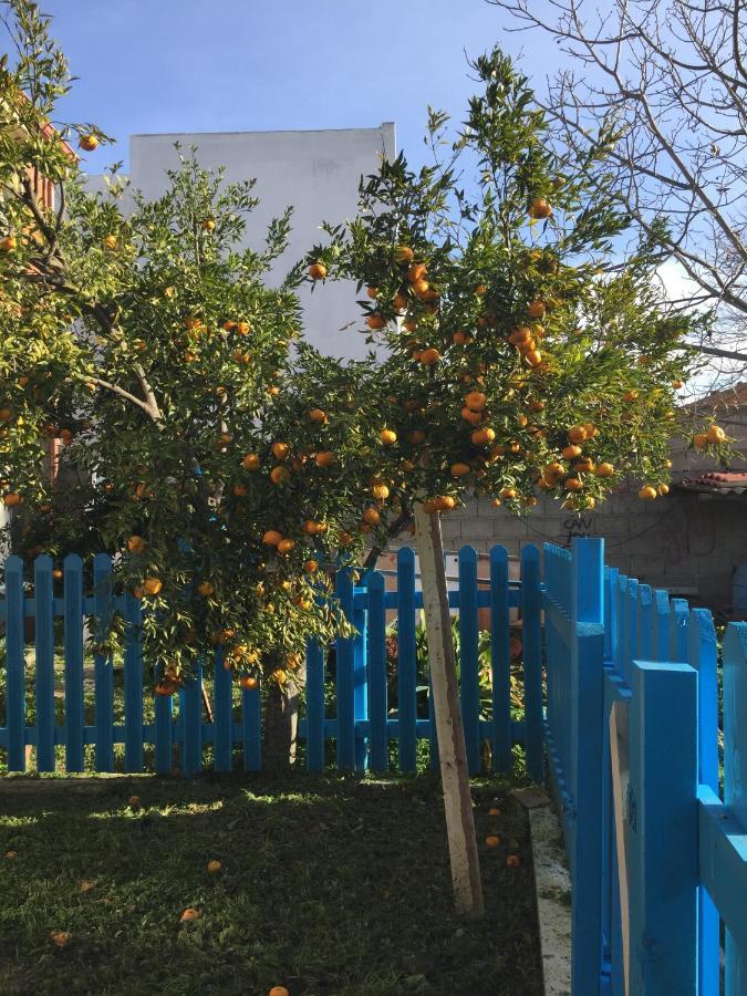 Casa Ondina Ussana - Giardino, Wi-Fi, Aria Condizionata Διαμέρισμα Εξωτερικό φωτογραφία